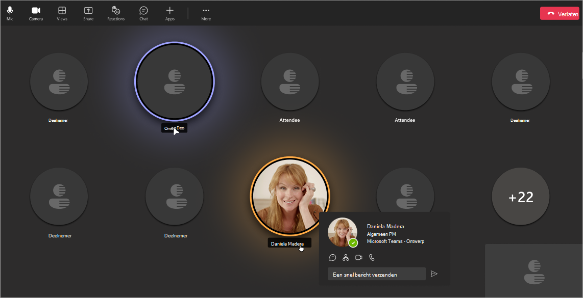 Schermopname van de weergave van deelnemers wanneer namen zijn verborgen in teams-vergadering of webinar.