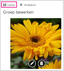 Het vak Foto wijzigen met de knop Opslaan gemarkeerd