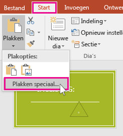 show paste special option