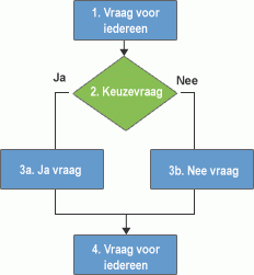 Vertakkingslogica voor enquêtes