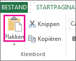 De opdracht Plakken in de groep Klembord