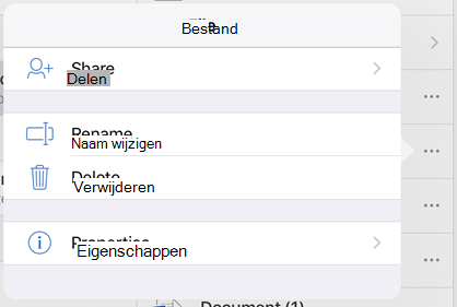 Wijzig de naam van het bestand door op de knop 3 puntjes te tikken en Naam wijzigen te selecteren