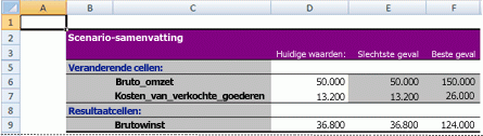 Samenvattingsrapport van Excel-scenario's