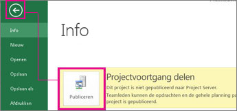 Afbeelding van het publiceren van een project