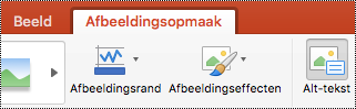 De knop alternatieve tekst op het lint in PowerPoint voor Mac