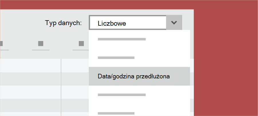 Pokazuje typ danych programu Access