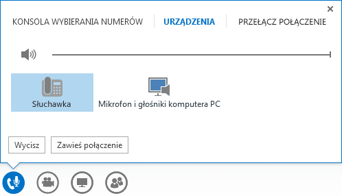 Zrzut ekranu przedstawiający kontrolki połączenia audio.