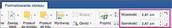 Pola Wysokość i Szerokość wyróżnione na karcie Formatowanie obrazu.