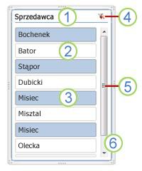 Elementy fragmentatora tabeli przestawnej