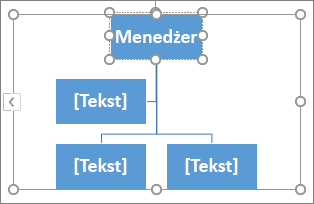 Wpisywanie tekstu w polu w grafice SmartArt