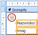 Pole wybierania układu na formularzu w widoku projektu