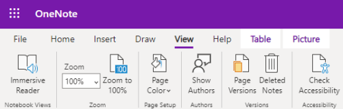 Kontrolki powiększenia w aplikacji OneNote dla sieci web.