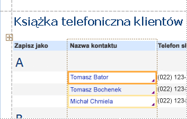 Raport w widoku układu