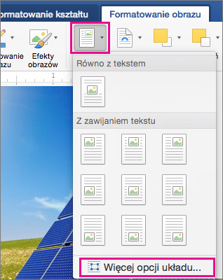 Pozycje Położenie i Więcej opcji układu wyróżnione na karcie Formatowanie obrazu.