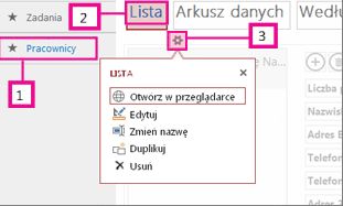 Dostępne widoki aplikacji programu Access