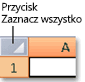 Przycisk Zaznacz wszystko