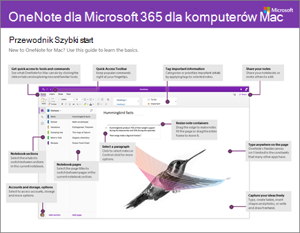 Przewodnik Szybki start dla programu OneNote 2016 dla komputerów Mac