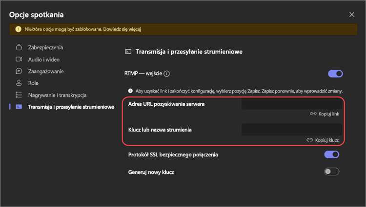 Zrzut ekranu przedstawiający ustawienia RTMP-In w opcjach spotkania.