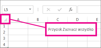 Przycisk Zaznacz wszystko