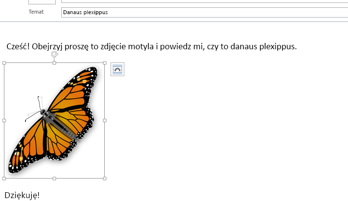 Obraz znajduje się teraz w wiadomości.