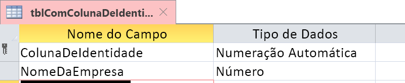 Mostrar que a Coluna de Identidade é identificada como um campo de Numeração Automática