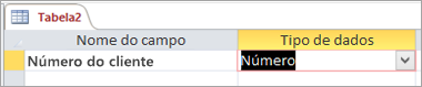 Nome do primeiro campo e tipo de dados de uma nova tabela do Access
