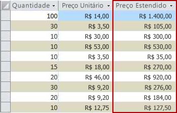 Um campo calculado, mostrado no modo de exibição Folha de Dados.