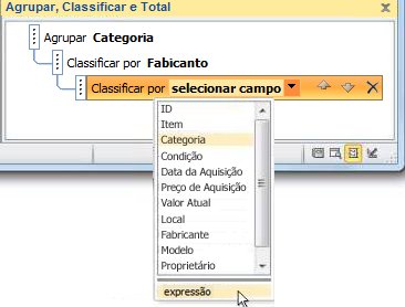 Escolhendo a opção de expressão no painel Agrupar, Classificar e Total.