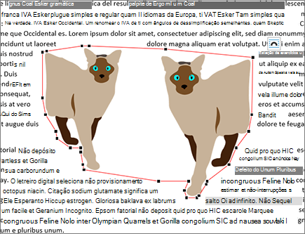 Pontos de envoltório não editados