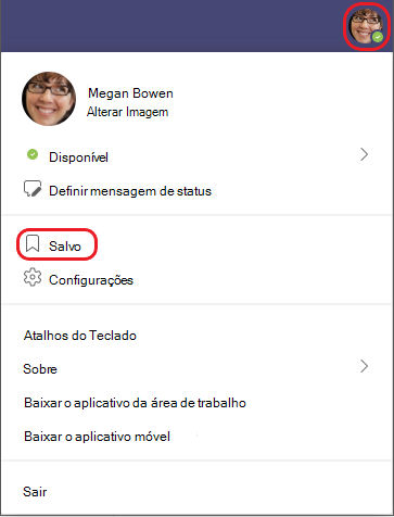 Perfil salvo no chat