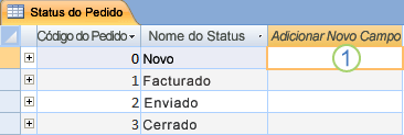 Folha de dados no Access com a coluna Adicionar novo Campo