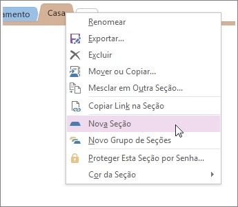 Adicione uma nova seção ao OneNote.