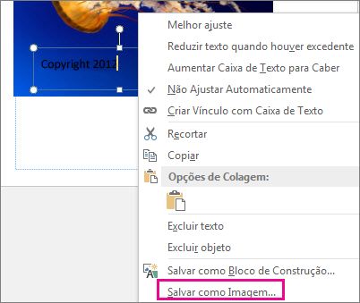 Salvar como Imagem