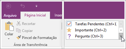 Captura de tela da lista de rótulos no OneNote 2016.