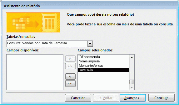 Seleção de campos no Assistente de Relatório