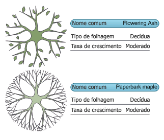 Os gráficos de dados mostram os dados de duas formas ao mesmo tempo.