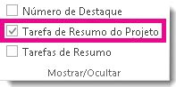 Mostrar a tarefa de resumo do projeto