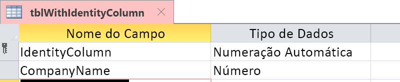 Mostrar que a Coluna de Identidade é identificada como um campo de Numeração Automática.