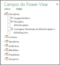 Campos e colunas ocultos no Power View