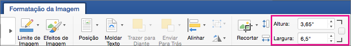 Separador Formatação da Imagem com as caixas Altura e Largura realçadas.