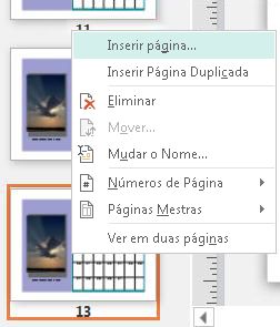 Para inserir uma página, clique com o botão direto do rato numa página no painel de Navegação Entre Páginas.