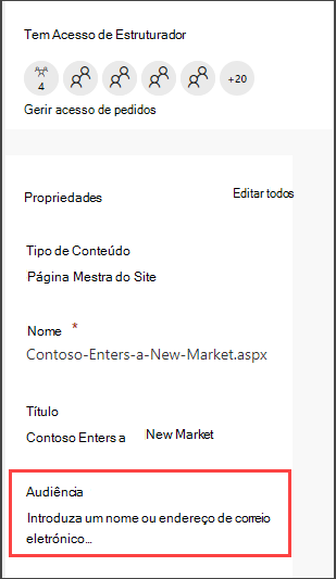 Painel de detalhes Páginas com opção para introduzir uma audiência