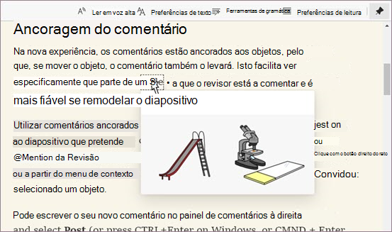 Dicionário de imagens no Leitura Avançada