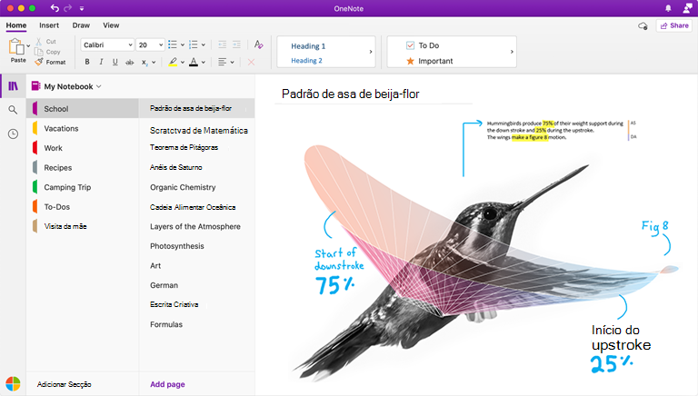 Captura de ecrã a mostrar o OneNote para Mac