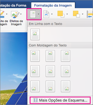 No separador Formatação da Imagem, as opções Posição e Mais Opções de Esquema estão realçadas.