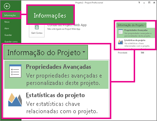 Menu de Informações do Projeto com Propriedades Avançadas realçado