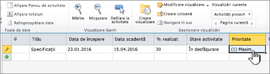 Completarea titlului, a datelor și a stării activității proiectului