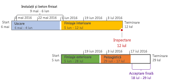 Cronologie formatată în Project