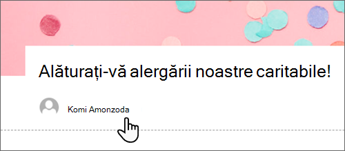 Captură de ecran a casetei Autor dintr-o publicație.