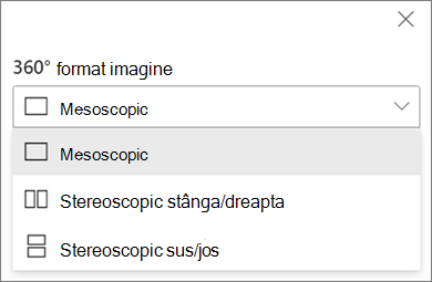 listă verticală de formate de imagine 360